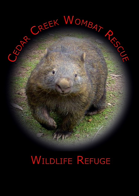 Cedar Creek Wombat Rescue