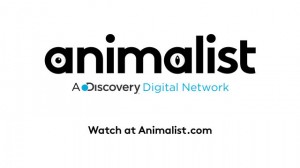 Animalist on MATV