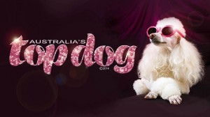 australias top dog glamour dog2 flairs low rez