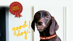 The Good Dog Film Festival