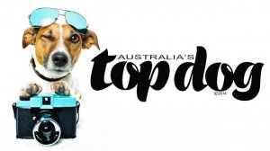 Australias Top Dog comp poster