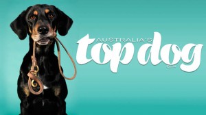 australias top dog pet dog low rez