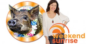 Tracey Preston from MATV on Sunrise this Sunday 13th July 2014