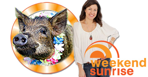 Tracey Preston from MATV on Sunrise this Sunday 13th July 2014