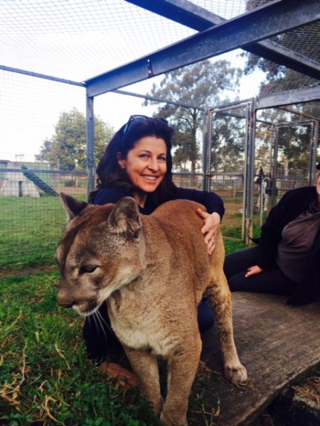 MATV meets the wild residents at a retirement home for zoo & circus animals