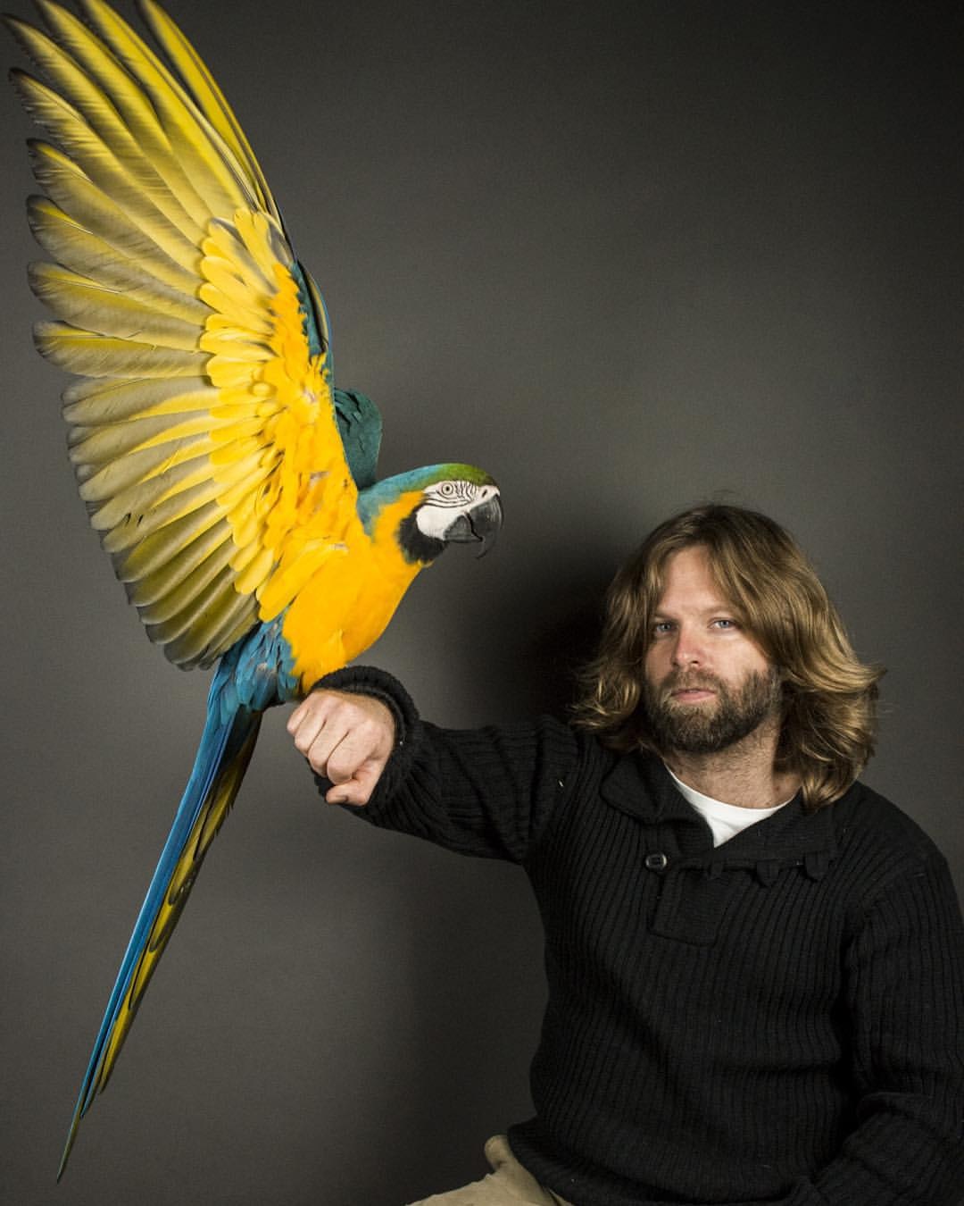 This bloke saves injured birds and teaches them to fly again!